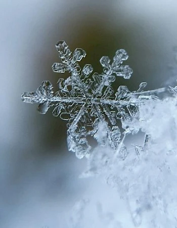 A close-up of a delicate snowflake stuck on ice, with a dreamy, blurred blue background and soft winter light.